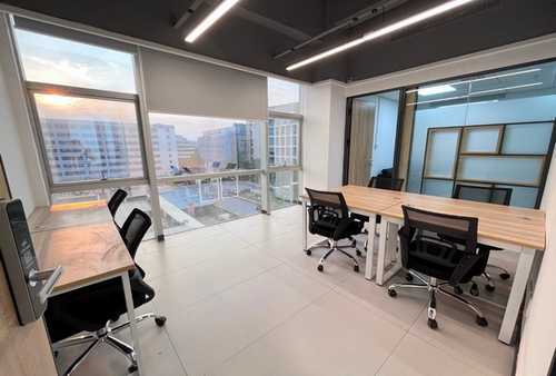 下城区常用植物出租服务