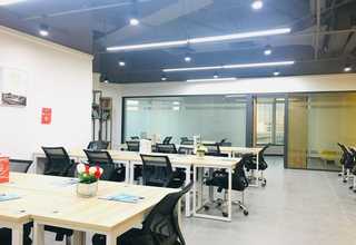 湖南智能绿植打造会呼吸的立体绿墙景观