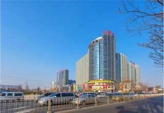 辽宁工程仪器仪表服务费